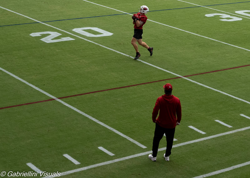 Trey McBride Over Shoulder Catch